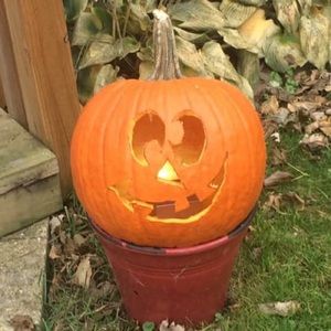 Meet your Posher, Maddie